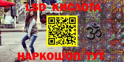 Альфа ПВП Новодвинск