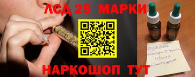 Альфа ПВП Новодвинск