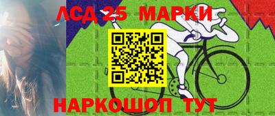 Альфа ПВП Новодвинск