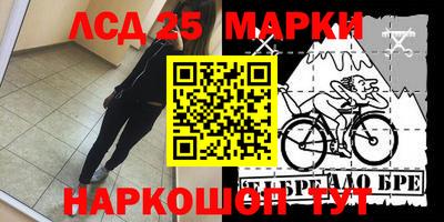 Альфа ПВП Новодвинск
