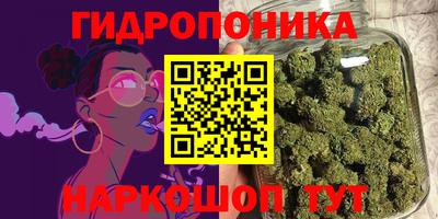 дживик Новозыбков